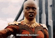 Wakanda Forever GIF - Wakanda Forever Black Panther GIFs
