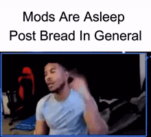Mods Are Sleep Post Bread GIF - Mods Are Sleep Post Bread GIFs