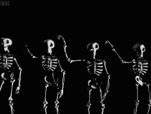 Skeleton Dance GIF - Skeleton Dance Skull GIFs