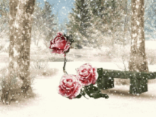 winter wonderland rose snowing snow