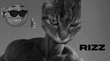 Rizzful Gigachad GIF - Rizzful Gigachad Micha Cat GIFs