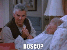 Bosco Seinfeld GIF