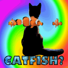 Catfish Fishy GIF - Catfish Fishy Cat GIFs