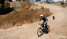 Dog Fail Bike Jump GIF - Dog Fail Bike Jump Dirt Bike GIFs