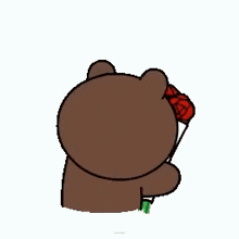 Bear Flowers GIF - Bear Flowers Line GIFs