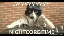 Nightcore Anime Nightcore GIF - Nightcore Anime Nightcore Anime Cat GIFs