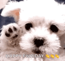 Friday Happy GIF