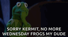 Kermit Oh GIF