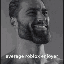 Roblox Roblox Meme GIF - Roblox Roblox Meme Average Roblox Enjoyer GIFs