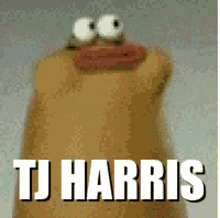 Tj Harris GIF - Tj Harris Tj Harris GIFs