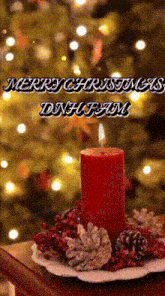 Merry Christmas Dnh GIF - Merry Christmas Dnh GIFs