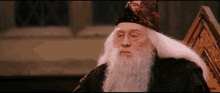 no dumbledore wizard harry potter