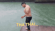 Dancing Tha Thai GIF - Dancing Tha Thai Appu GIFs
