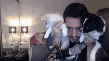 Puppies Axel Toss GIF