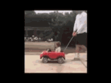 Car Drive GIF