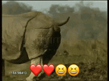 Rhino Shit GIF - Rhino Shit Rbxzoo GIFs