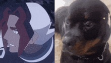 a picture of a cartoon character next to a picture of a black dog