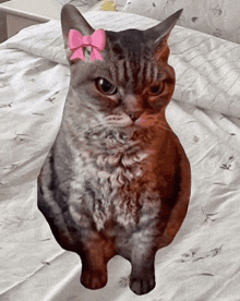 a cat with a pink bow on its ear