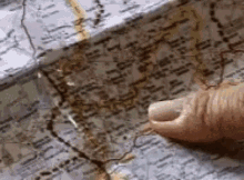 Searching Map GIF
