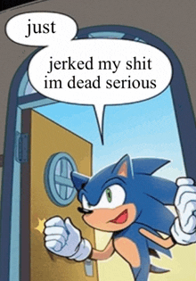 a cartoon of sonic the hedgehog with a speech bubble saying just jerked my shit im dead serious