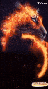 a tiger 's head is surrounded by flames and can be personalized with a name