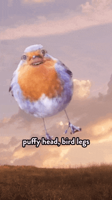Puffy Head Bird Legs Astronaut GIF - Puffy Head Bird Legs Astronaut Bird GIFs