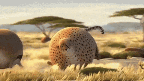 Round Animals GIF - Fat - Discover & Share GIFs
