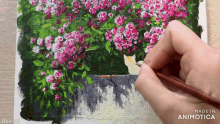 a painting of pink and white flowers is made in animoto