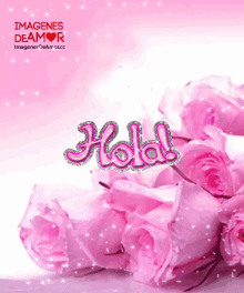 Hola Flowers GIF - Hola Flowers Pink GIFs