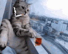 GIF