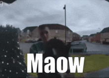 Eotl Maow GIF - Eotl Maow Cat GIFs
