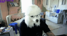 a person wearing a poodle mask and glasses is sitting in a living room