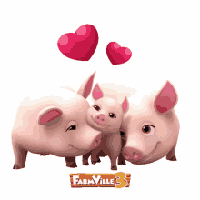 pigs pig piglet family farmville3