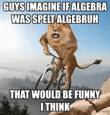 a lion is riding a bike on top of a rock .