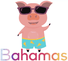 ilesdesbahamas cochon