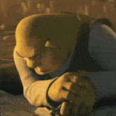 shrek from the animated movie shrek is looking at the camera with a serious look on his face