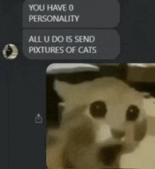 a screenshot of a text message between a person and a cat with a picture of a cat on the bottom .