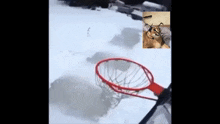 a basketball hoop is in the snow with a picture of a cat in the background