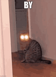 a cat with bright eyes is sitting on the floor in a hallway .