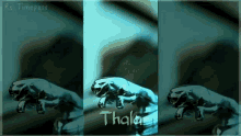 a picture of a jaguar with the name thala written below it