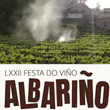 a poster for lxxii festa do vino albarino with smoke coming out of a vineyard