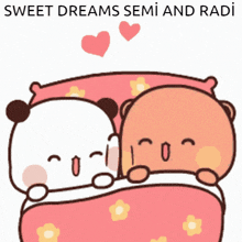 sweet dreams semi and radi radi and semi bubu and dudu semi