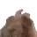 a close up of a teddy bear 's head on a white background .