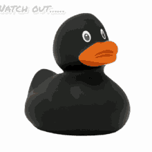 mb duck watch out mb is about