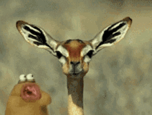 Chewing Deer GIF - Chewing Deer Slug GIFs