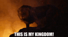 The Lion King Scar GIF - The Lion King Scar This Is My Kingdom GIFs