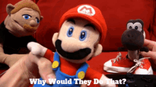 Sml Mario GIF - Sml Mario Why Would They Do That GIFs