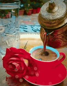Arab Kávé GIF - Arab Kávé GIFs