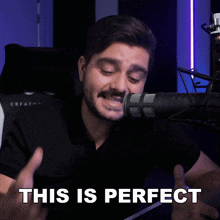 This Is Perfect Ignace Aleya GIF - This Is Perfect Ignace Aleya Just What I Needed GIFs