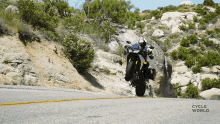 wheelie stunt driving motorcycle motorbike